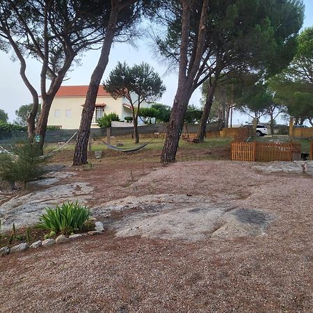 Casas De Campo Villa D'Almeida Travancinha Eksteriør bilde
